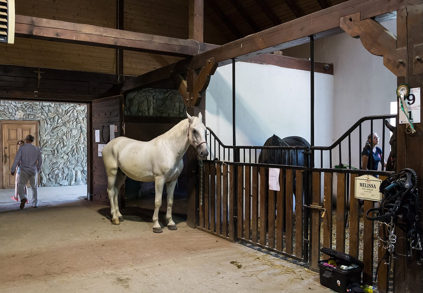 Chevaux & élevage