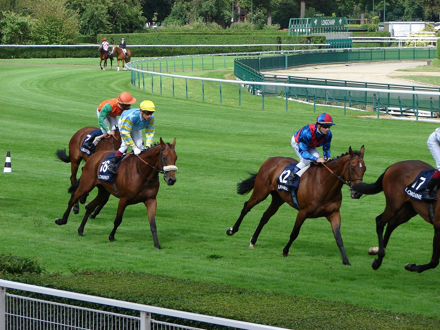 Courses hippiques