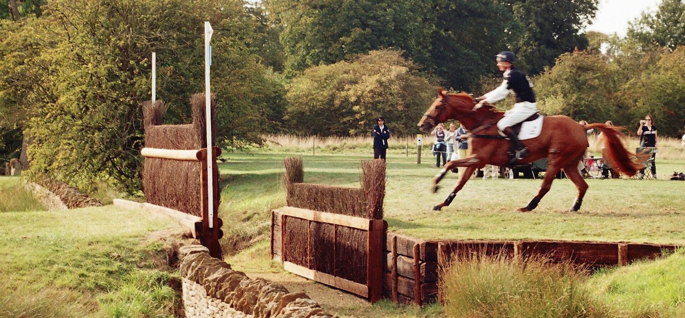 Dressage & complet