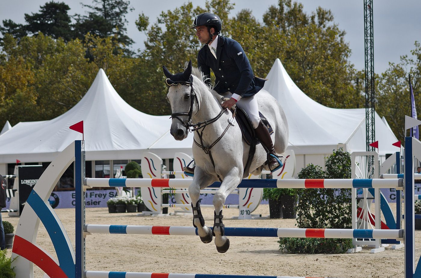 Le parcours d'obstacles expliqué : Les barres, les lignes, les questions