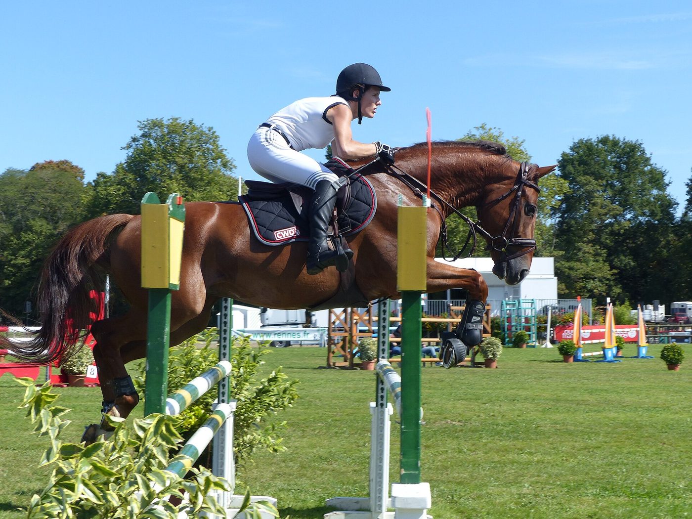 Explication du système de points en saut d'obstacles