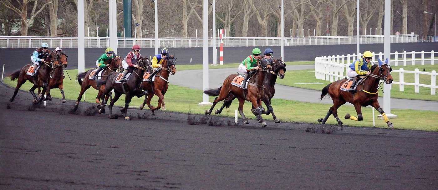 Comment suivre les courses hippiques en France : plat, obstacles et trot expliqués