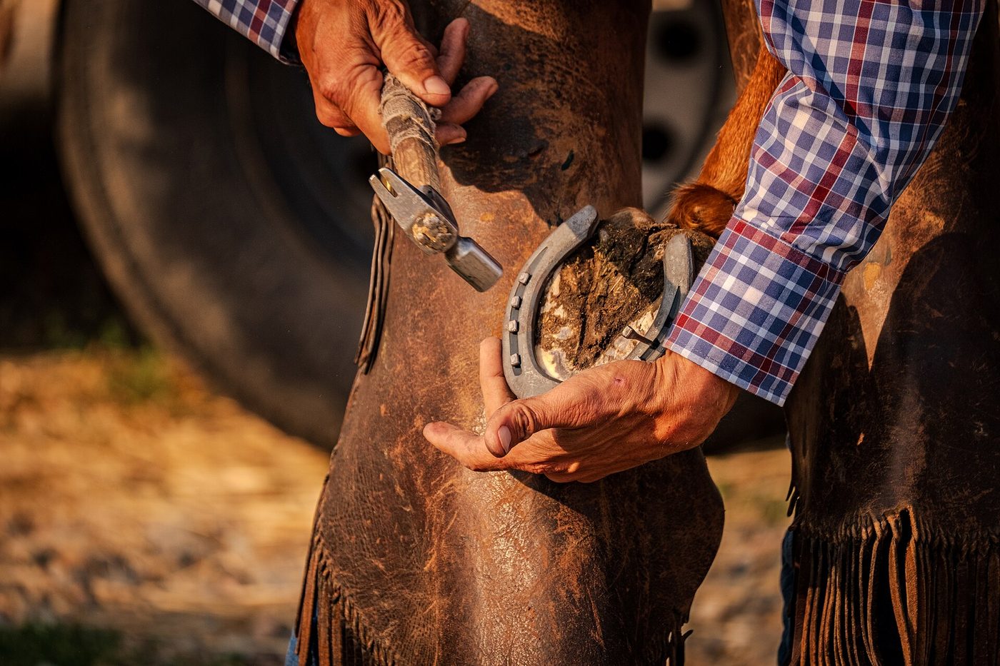 Ferrure cheval pieds nus comparaison : Ce que les preuves démontrent réellement