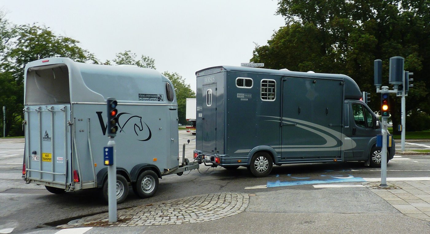 Transporter des chevaux : les règles, les risques et les formalités